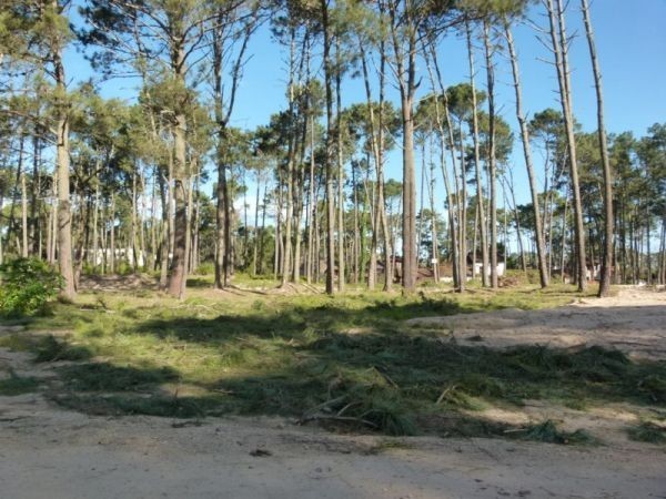 Excelentes terrenos de 1.000 m2 en Parque Burnett con buena financiación